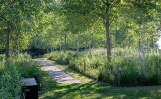 Visite du jardin de la paix - Promenade en sous-bois lumières et transparences Élise Martin Hennebicque©AJHdF_Yann MONEL