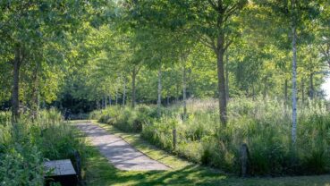 Visite du jardin de la paix - Promenade en sous-bois lumières et transparences Élise Martin Hennebicque©AJHdF_Yann MONEL